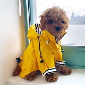 NWOT Dog Raincoat Double Layer Zip with Hood XS Yellow With Black/White Raincoat